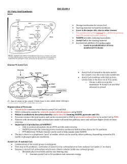 BIO EXAM 4 42: Fatty Acid Synthesis Intro: Storage mechanism for