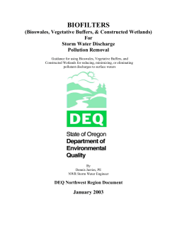 for Storm Water Discharge Pollution Removal