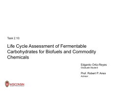 Life Cycle Assessment of Fermentable Carbohydrates for Biofuels