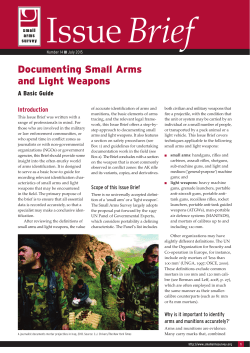 Documenting Small Arms and Light Weapons