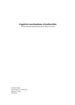 Cognitive mechanisms of psilocybin