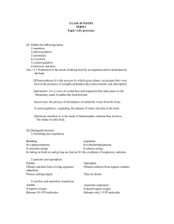 CBSE Class 10 Biology Life Processes Notes (1)