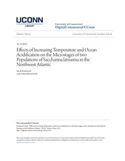Effects of Increasing Temperature and Ocean Acidification on the