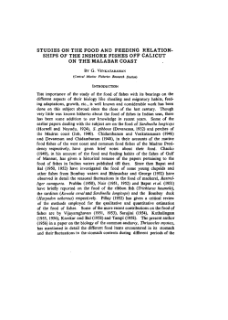 STUDIES ON THE FOOD AND FEEDING RELATION