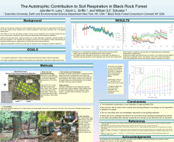 The Effects of Light Environment on Leaf Nutrition Jennifer H. Levy