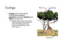 Nutrient Recycling Notes