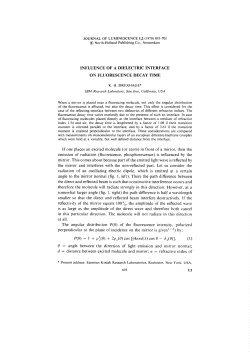 INFLUENCE OF A DIELECTRIC INTERFACE ON FLUORESCENCE