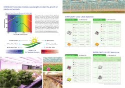 EVERLIGHT provides multiple wavelengths to alter the growth of