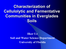 Characterization of Cellulolytic and Fermentative Communities in