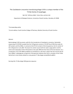 The Caulobacter crescentus transducing phage Cr30 is a unique