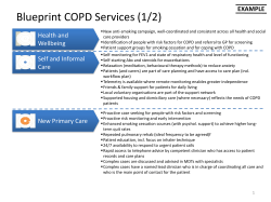 Blueprint COPD Services (1/2)