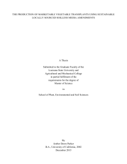 THE PRODUCTION OF MARKETABLE VEGETABLE