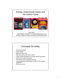 Carbon Cycle