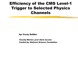 CMS Trigger Efficiency