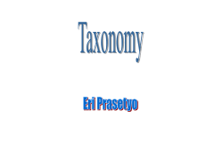 Diapositive 1 - ERI PRASETYO