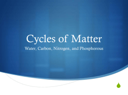 Cycles of Matter