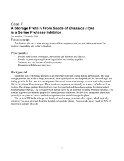 Case 7 A Storage Protein From Seeds of Brassica nigra is a Serine