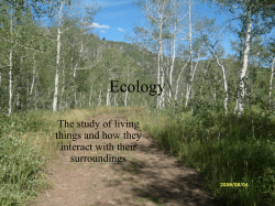 Ch 2 Ecology - davis.k12.ut.us