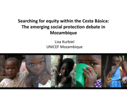 The Problem - Social Protection Platform