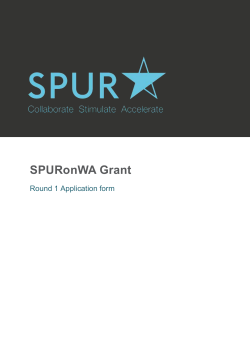 Application form (Word 0.36MB)