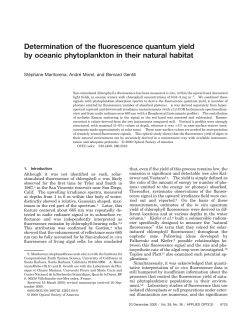 Determination of the fluorescence quantum yield by oceanic