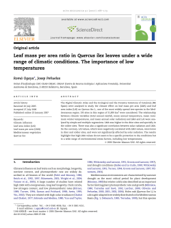 Leaf mass per area ratio in Quercus ilex leaves - CREAF