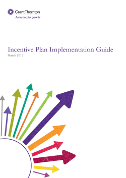 Incentive Plan Implementation Guide