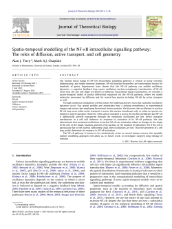 Spatio-temporal modelling of the NF