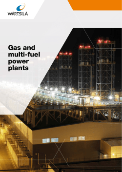 Gas and multi-fuel power plants