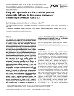 Fatty acid synthesis and the oxidative pentose phosphate pathway