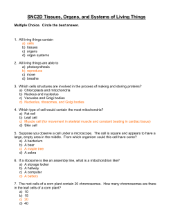 SNC2D Tissues, Organs, and Systems of Living Things