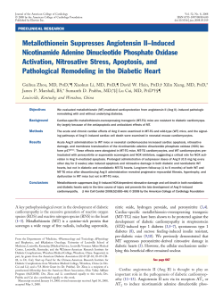 Metallothionein Suppresses Angiotensin II&ndash;Induced Nicotinamide