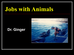 Jobs with Animals - Bakersfield College