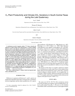 C4 Plant Productivity and Climate-CO2 Variations in South