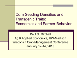 Corn Seeding Densities and Transgenic Traits