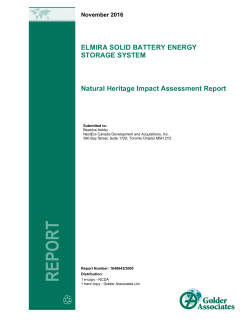 ELMIRA SOLID BATTERY ENERGY STORAGE SYSTEM Natural