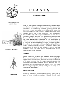 Fact Sheet - Batiquitos Lagoon Foundation