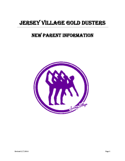 File - Jersey Village Gold Duster Dance Team