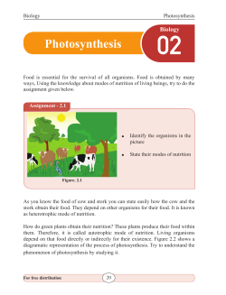 Photosynthesis - e