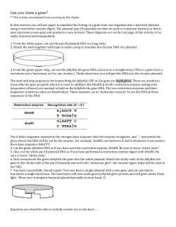 Can you clone a gene? ** This activity was adapted from a posting