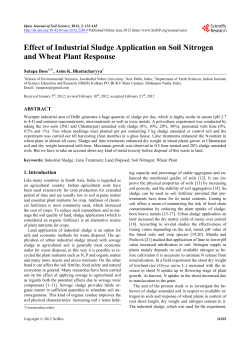 Effect of Industrial Sludge Application on Soil Nitrogen and Wheat
