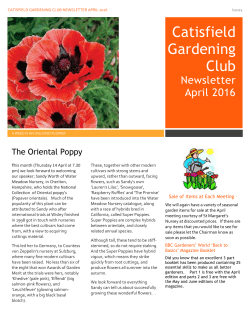 Newsletter 3