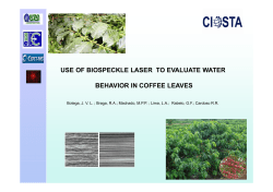 use of biospeckle laser to evaluate water behavior in coffee leaves