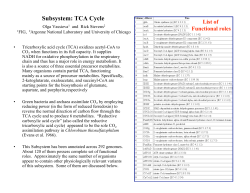 Subsystem: TCA Cycle