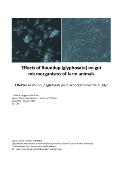 Effects of Roundup (glyphosate) on gut microorganisms