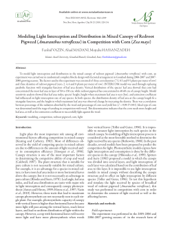 Modeling Light Interception and Distribution in Mixed Canopy of