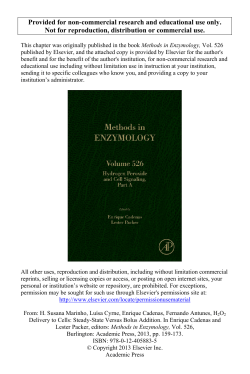 H2O2 Delivery to Cells: Steady