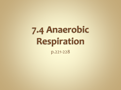 7.4 Anaerobic Respiration