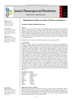 Biochemical studies on wheat (Triticum aestivum L.)