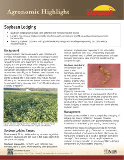 Soybean Lodging